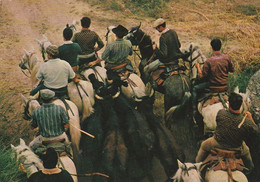 LES BELLES IMAGES DE CAMARGUE - Gardian Et Taureaux En Abrivado . Rare .  CPM - Corridas