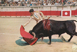 PASSE De MULETA    Derechazo. Très Bon Derechazo. .  CPM - Corridas