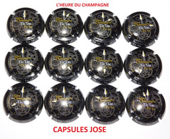 NEWS - SERIE DE 12 CAPSULES DE CHAMPAGNE - GENERIQUE (L’Heure Du Champagne) - Colecciones