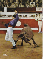 RAMUNTCHITO Dans Un Très Bel écart à L'intérieur Devant La Célèbre LORCA.. .  CPM - Corridas