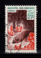 Comores - YV 38 Oblitere , Poisson Mérou - Used Stamps