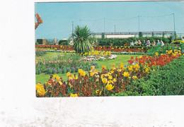 Clacton On Sea Rememberance Gardens  - Used  Postcard - Essex - Stamped - Clacton On Sea