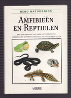 AMFIBIEEN EN REPTIELEN De REBO NATUURGIDS 1992 écrit En Néerlandais Les Amphibiens Et Les Reptiles - Vita Quotidiana