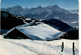 Leysin, Les Dents De Morcles (16) * 24. 1. 1968 - Morcles