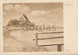 Germany - Halligfriede - Groh - Auf Hallig Hooge - Halligen - Halligen