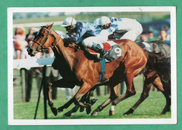 Turf Hippisme Hippodrome De Longchamp Cheval Otaiti Septembre 1996 - Hippisme