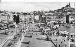 13 MARSEILLE .  QUAI DES BELGES  ET LE NOUVEAU JARDIN AU FOND  NOTRE DAME - Vieux Port, Saint Victor, Le Panier