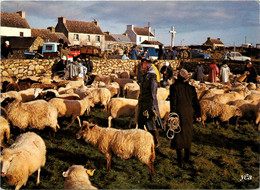 Ile D'ouessant * La Foire Aux Moutons * Marché Marchands - Ouessant