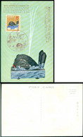 Japan 1956 Maximum Card Whale Mounted On A Festival Car New Year Greeting 1957 - Cartes-maximum