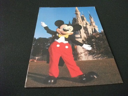 Topolino Mickey Mouse WALT DISNEY WORLD CON CASTELLO CASTLE CINDERELLA CENERENTOLA ANNULLO ROSSO - Disneyworld