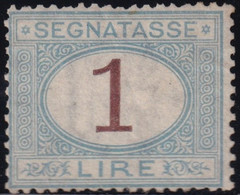 Regno D'Italia 1870 Segnatasse 1 L. Azzurro Chiaro E Bruno Sass. 11 MVLH*/** Firmato Alberto Diena Cv. 15000 - Taxe