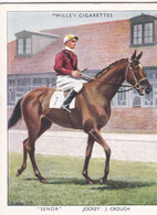 25 Senor, J Crouch  - Racehorses & Jockeys 1938 - Original Wills Cigarette Card - L Size 6x8cm - Wills