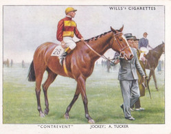 29 Contrevent, A Tucker - Racehorses & Jockeys 1938 - Original Wills Cigarette Card - L Size 6x8cm - Wills