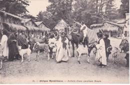 POSTAL DE AFRIQUE MYSTERIEUSE - ARRIVEE D'UNE CARAVANE MAURE - Mauretanien