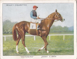 40 Waterbird, E Smith - Racehorses & Jockeys 1938 - Original Wills Cigarette Card - L Size 6x8cm - Wills