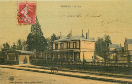 Dép 61 - Chemins De Fer - Gares - Briouze - La Gare - Carte Toilée Couleurs - Bon état Général - Briouze