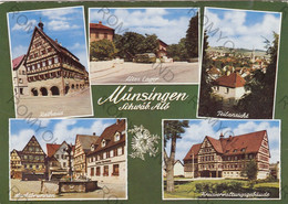 CARTOLINA  MUNSINGEN,SCHUVAB.ALB,BERNE,SVIZZERA,NON VIAGGIATA - Münsingen