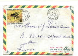 CAMEROUN Foumbot 1978 - Affranchissement Seul Sur Lettre Par Avion - Grenouille - Kamerun (1960-...)