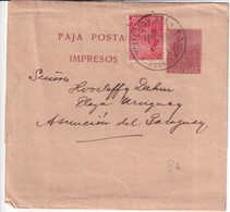 ARGENTINA - 1916 - BANDE JOURNAL ENTIER POSTAL => PARAGUAY ! - Interi Postali