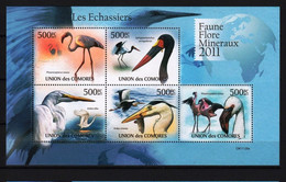 COMORES 2011 -  MNH (AVES)_  FAU0588 - Flamingos