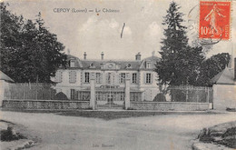 Cepoy         45       Le Château    (voir Scan) - Sonstige & Ohne Zuordnung