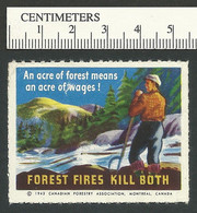 B65-45 CANADA Canadian Forestry Assn 1943 Poster Stamp 2 MNH Creased - Local, Strike, Seals & Cinderellas