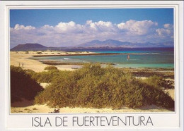 AK 030558 SPAIN - Fuerteventura - Playa De Corralejo - Fuerteventura