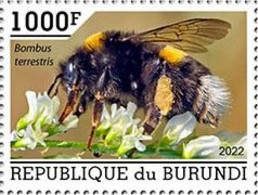 Burundi 2022, Animals, Bee, 1val - Unused Stamps