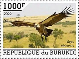 Burundi 2022, Animals, Bird Of Prey, 1val - Unused Stamps