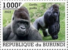 Burundi 2022, Animals, Gorillas, 1val - Unused Stamps