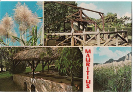 MAURICE - Vues - Les Cannes à Sucre Et Le Vieux Moulin à Sucre - Mauritius