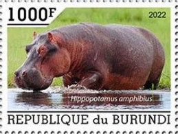 Burundi 2022, Animals, Hippo, 1val - Unused Stamps