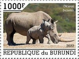 Burundi 2022, Animals, Rhino, 1val - Neufs