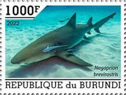 Burundi 2022, Animals, Sharks, 1val - Unused Stamps