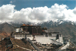 CPSM The Potala Palace      L1169 - Tíbet