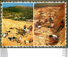 Photo Cpsm Cpm 11 ESPERAZA. Musée Des Dinaosaures 2002 - Other Municipalities