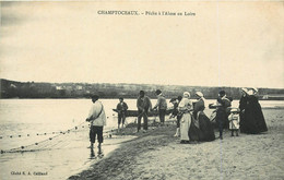 Dép 49 - Champtoceaux - Pêche à L'Alose En Loire - Bon état Général - Champtoceaux