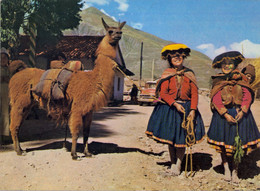 PERÚ , T.P. CIRCULADA ,  NATIVAS CON SU LLAMA - PISAQ - Perù