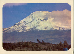 ECUADOR , T.P. CIRCULADA , EL MAJESTUOSO NEVADO CHIMBORAZO - Equateur