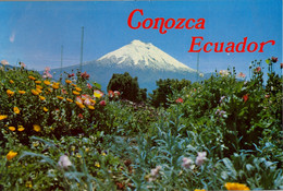 ECUADOR , T.P. CIRCULADA , EL COTOPAXI , VOLCÁN APAGADO , VISTA DESDE LA ESTACIÓN RASTREADORA DE SATÉLITES - Ecuador