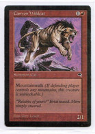 MAGIC The GATHERING  "Canyon Wildcat"---TEMPEST (MTG--139-6) - Sonstige & Ohne Zuordnung