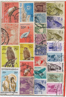 Srt Of 25 Stamps Union Of Burma .  Birds Hawk - Myanmar (Burma)