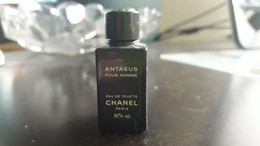 Anataeus De Chanel - Unclassified