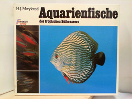 Aquarienfische Des Tropischen Süßwassers - Animales