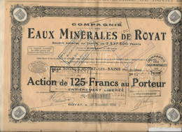 COMPAGNIE DES EAUX MINERALES DE ROYAT  LES BAINS -PUY DE DOME - ACTION DE 125 FRANCS -ANNEE 1936 - Water