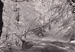 01, Hauteville-Lompnes, Chemin Du Col De La Rochette, L'Hiver - Hauteville-Lompnes