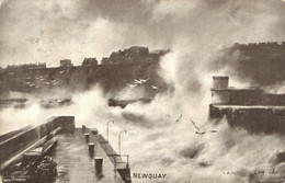 Newquay 1908 , Cornwall Scilly Isles # Dainty Series # - Newquay