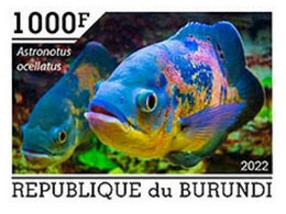 Burundi 2022, Animals, Fishes, 1val IMPERFORATED - Ongebruikt