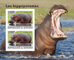 Burundi 2022, Animals, Hippo, Block IMPERFORATED - Ongebruikt
