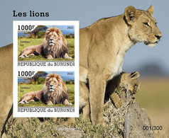 Burundi 2022, Animals, Lions, Block IMPERFORATED - Unused Stamps